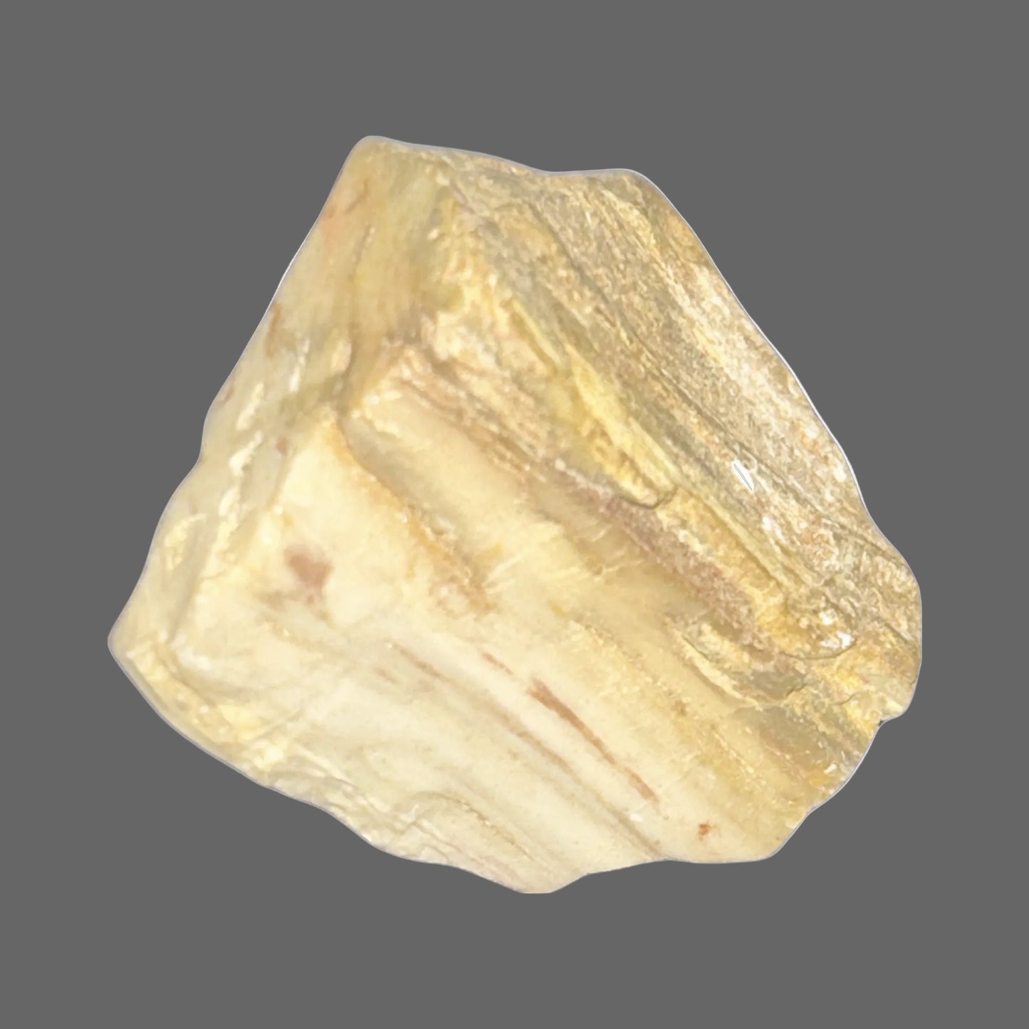Petrified Wood – Fossilized Ancient Timber Specimen-28g