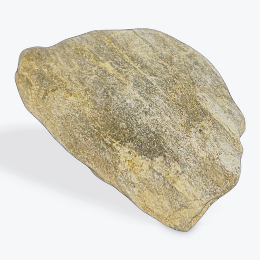 Ancient Foliated Schist – Layered Metamorphic Stone of Pressure & Time