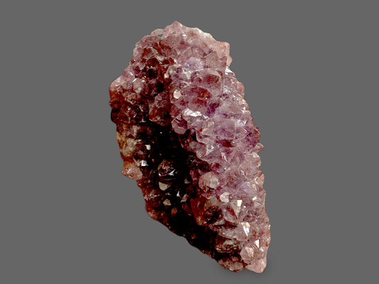 Royal Grove — Natural Purple Amethyst Quartz Cluster-163g
