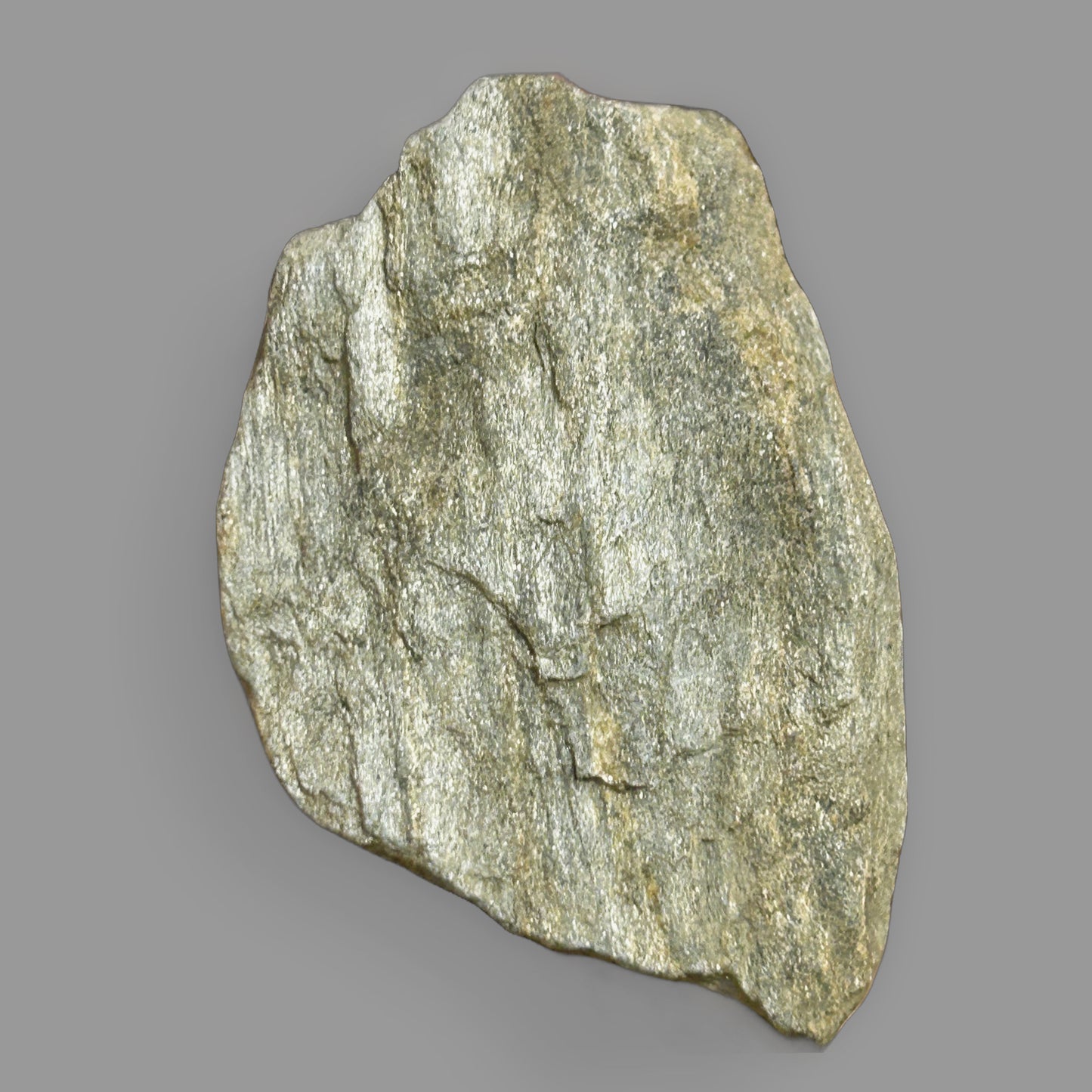 Ancient Foliated Schist – Layered Metamorphic Stone of Pressure & Time-38g