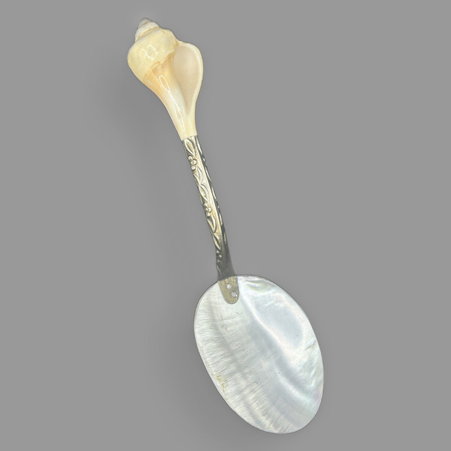 Antique Mother of Pearl and Conch Shell Serving Spoon
