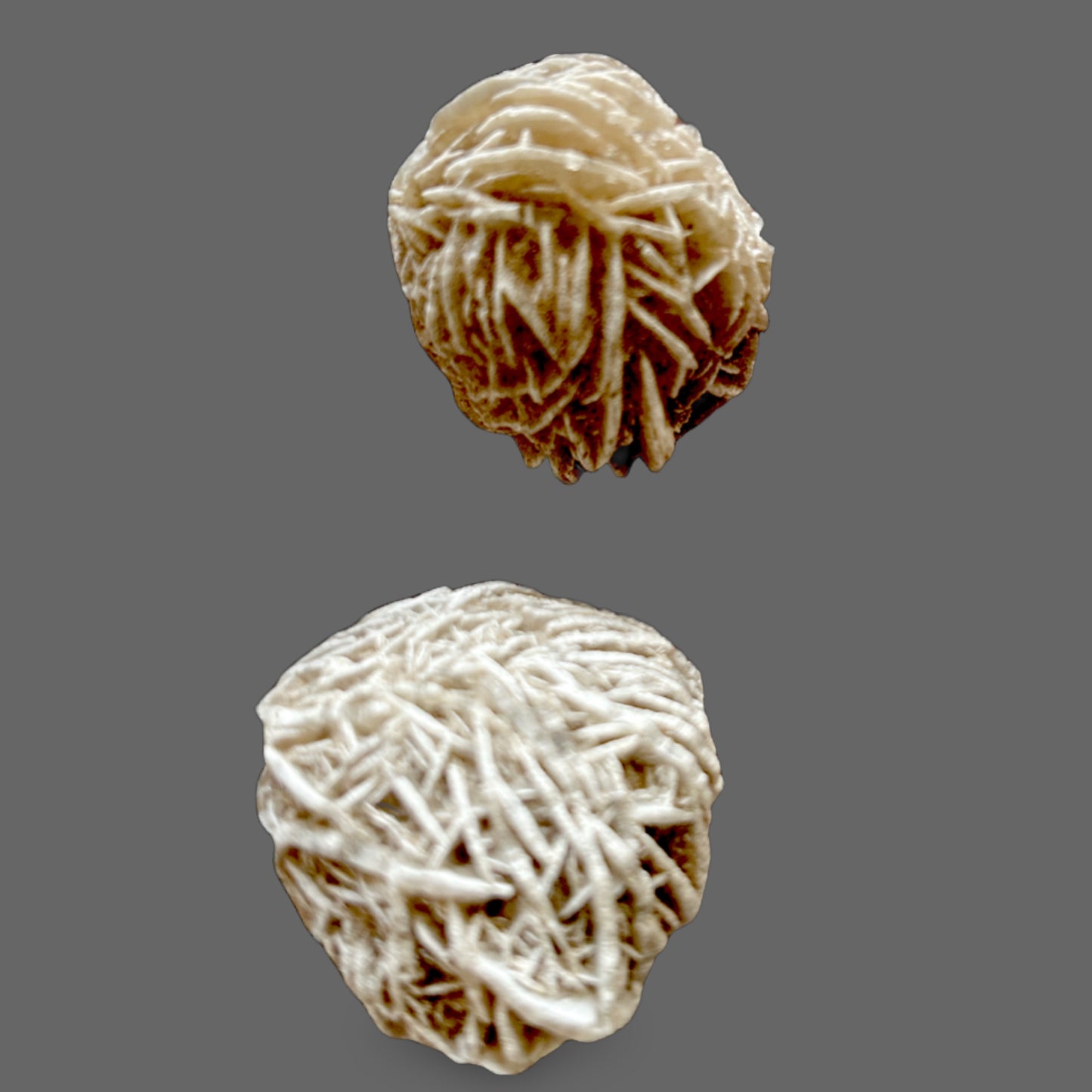Desert Rose Crystal – Wind-Sculpted Gypsum Bloom of Protection & Clarity-34g