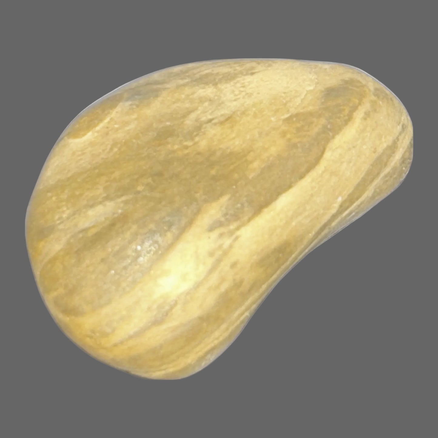 Petrified Wood Worry Stone – Ancient Forest Touchstone-33g
