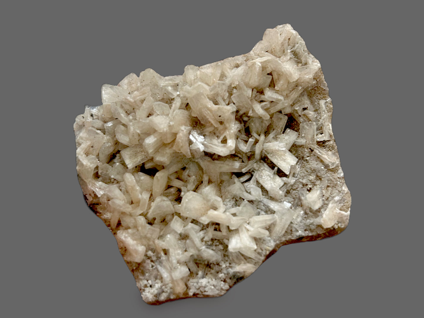 Desert Rose Archive — Natural Barite Crystal Specimen-41g