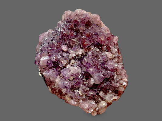 Royal Grove — Natural Purple Amethyst Quartz Cluster-227g