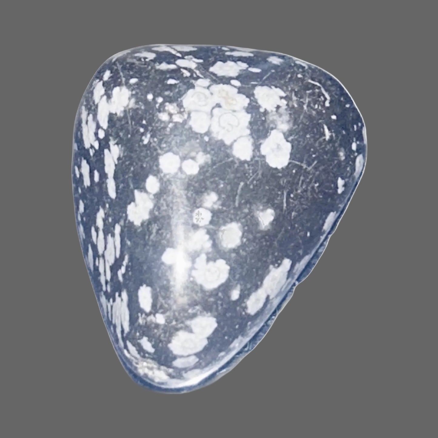 Midnight Snowflake Obsidian – Volcanic Glass of Frozen Ash Pattern-11g