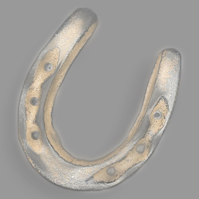 Vintage Cast Iron Horseshoe